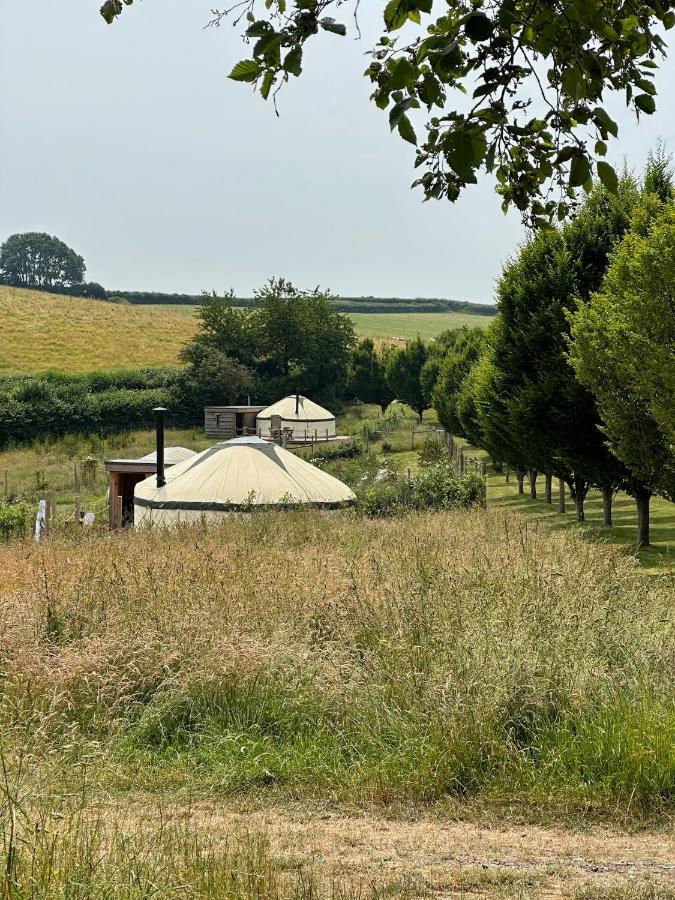ホテル Bracken Yurt At Walnut Farm Glamping Netherbury エクステリア 写真