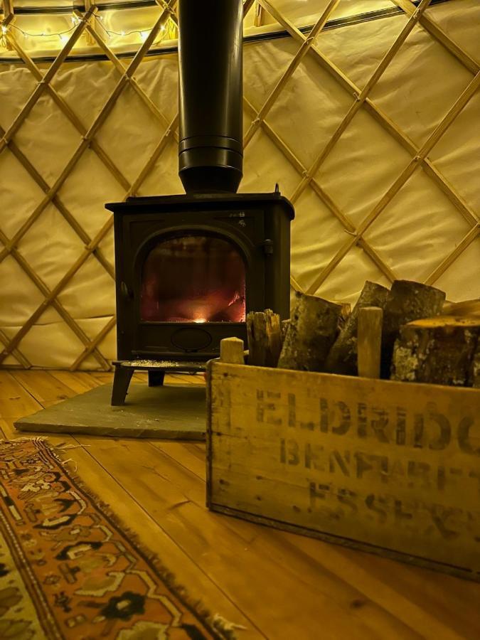 ホテル Bracken Yurt At Walnut Farm Glamping Netherbury エクステリア 写真